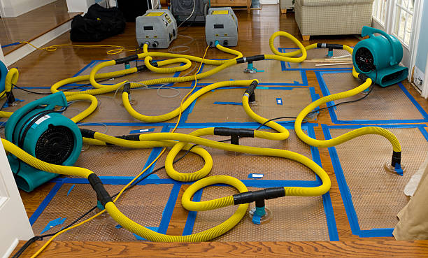 Professional Crawl Space Water Removal technician working in Waverly, IA